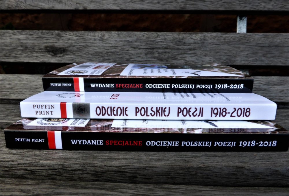 Odcienie polskiej poezji 1918-2018